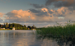 Rustling reeds ... / ***