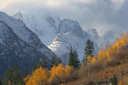 Autumn / ***