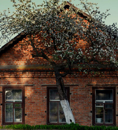 the house that Jack built / .................