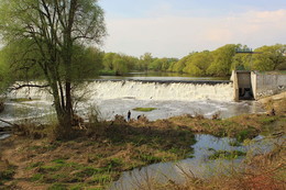 spring landscape / ***