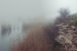 Spring rain / ***