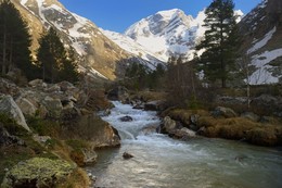 Spring in the mountains / ***