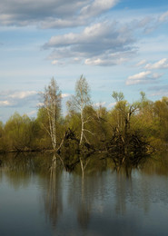 Spring / .....