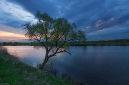 Before the storm / ***