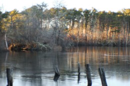 &nbsp; / Monolens 50 mm