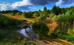 After the rain / ***