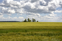 Open spaces / ***
