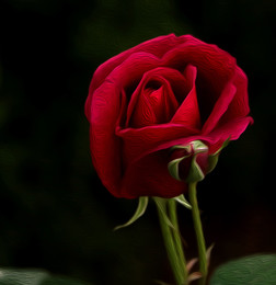 Happy Victory Day! / ***