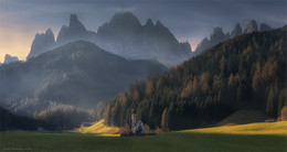Picture ... / ***