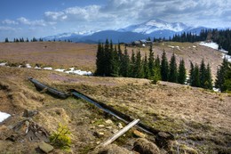 &nbsp; / [img]https://i.imgur.com/CxS6lTT.jpg[/img]
[img]https://i.imgur.com/rFUKTBo.jpg[/img]
[img]https://i.imgur.com/z3oyRBy.jpg[/img]
[img]https://i.imgur.com/JWRR3ki.jpg[/img]
