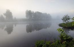 Spring reflection / ***