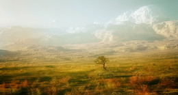 At the foot of the mountains ... / ***