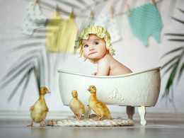 ducklings / ***