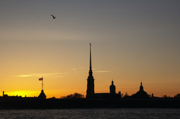 In the evening on the Neva / ***