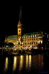 Rathaus Hamburg / ***