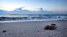 Waiting for dawn / ***