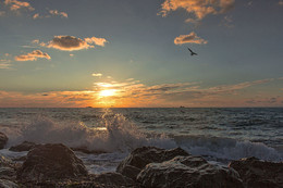 Evening Landscape / ***