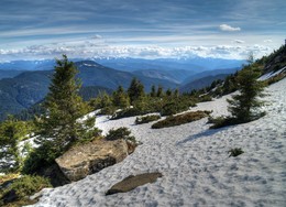 &nbsp; / [img]https://i.imgur.com/nQnSqEp.jpg[/img]
[img]https://i.imgur.com/J97vdPB.jpg[/img]
[img]https://i.imgur.com/PUIVxvO.jpg[/img]
[img]https://i.imgur.com/YfjJSEu.jpg[/img]
