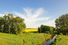 Polesskie field / ***