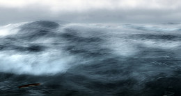Ocean is shaking... / ***