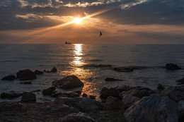 ***Sunset / ***