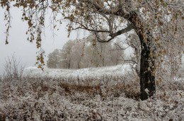 Bad weather / ***