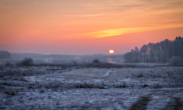 frosty morning / ***