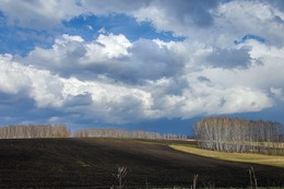 Spring arable / ***