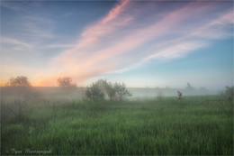 Morning photographer / ***