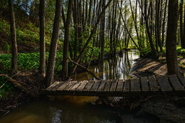 Bridge / ***