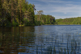 At the lake ... / ***