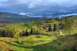 &nbsp; / [img]https://i.imgur.com/GOdmPhp.jpg[/img]
[img]https://i.imgur.com/VLb1GcB.jpg[/img]
[img]https://i.imgur.com/KnvHatY.jpg[/img]
