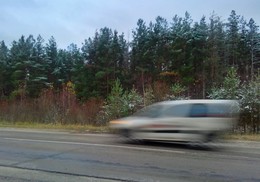 Speed / ***