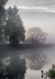 Pink Dawn / ***