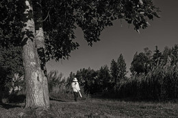 Wanderer / ***