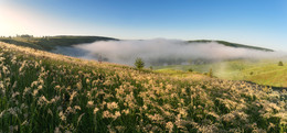 July morning / ***
