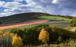 Autumn Field / ***