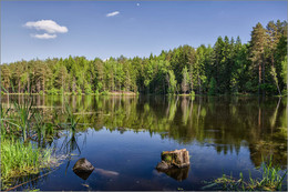 At the lake in the woods / ***