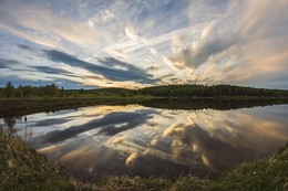 Pond / ***