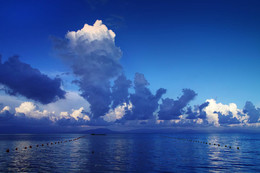 Parade of clouds / ***