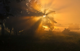 Magic of morning light / ***