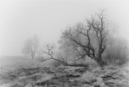 Autumn sunrise / ***