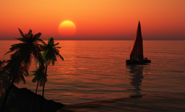 The warm seas ... / ***