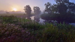 June Dawn / ***