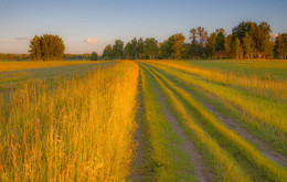 evening / ***