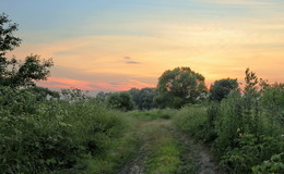 The road in the summer / ***