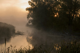 Morning / ***