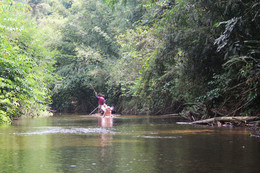 on the river ... / ***