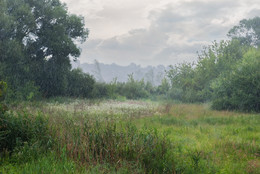 These summer rains ... / ...