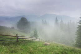 Carpathian mists / ***